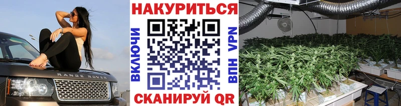 Купить закладку COCAIN Меф мяу мяу Галлюциногенные грибы Гашиш Мураши
