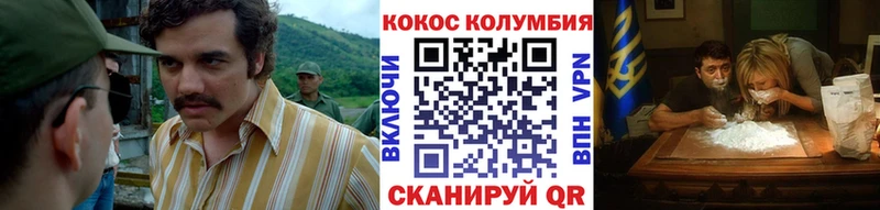 Купить  Мураши  Cocaine Колумбийский 