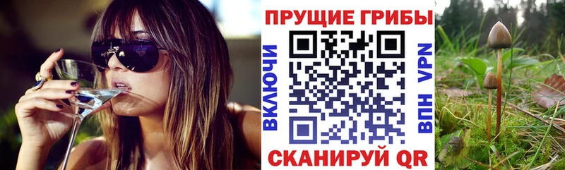 Купить где  Мураши  Галлюциногенные грибы Magic Shrooms 